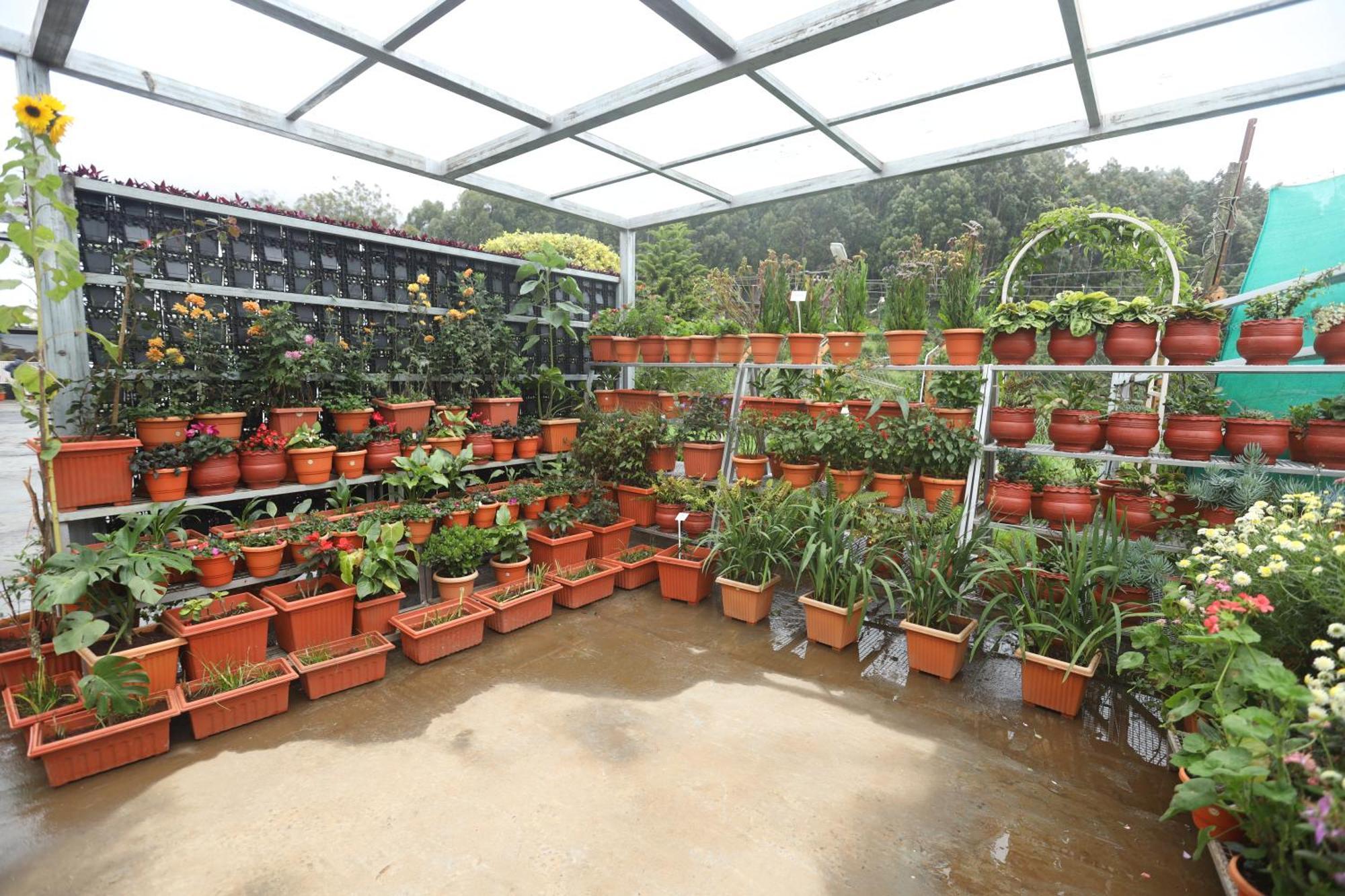 Delightz Resort Ooty